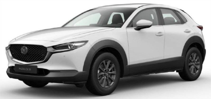 MAZDA CX-30 SKYDRIVE BUSINESS